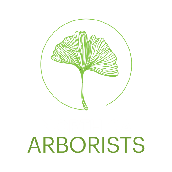 North GA Arborists tree service work