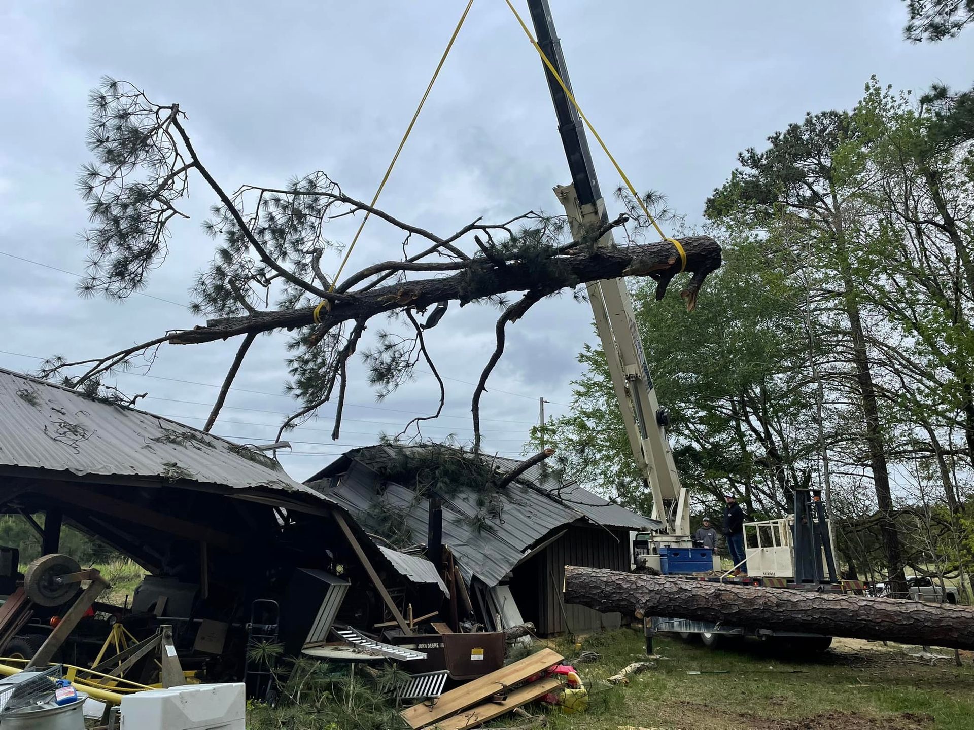 Tree+Removal+from+Structure 363ac14d 1920w