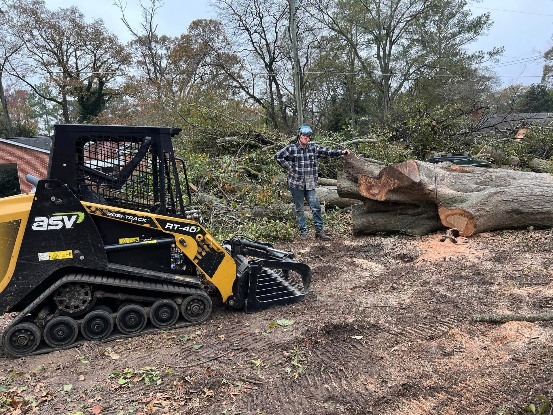 Photo of Cam's Tree Service