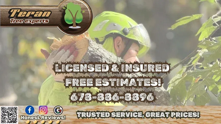 LICENSED+AND+INSURED+FREE+ESTIMATES+678 8896+%28A2+%28Landscape%29%29 2cd2dd9a 1920w