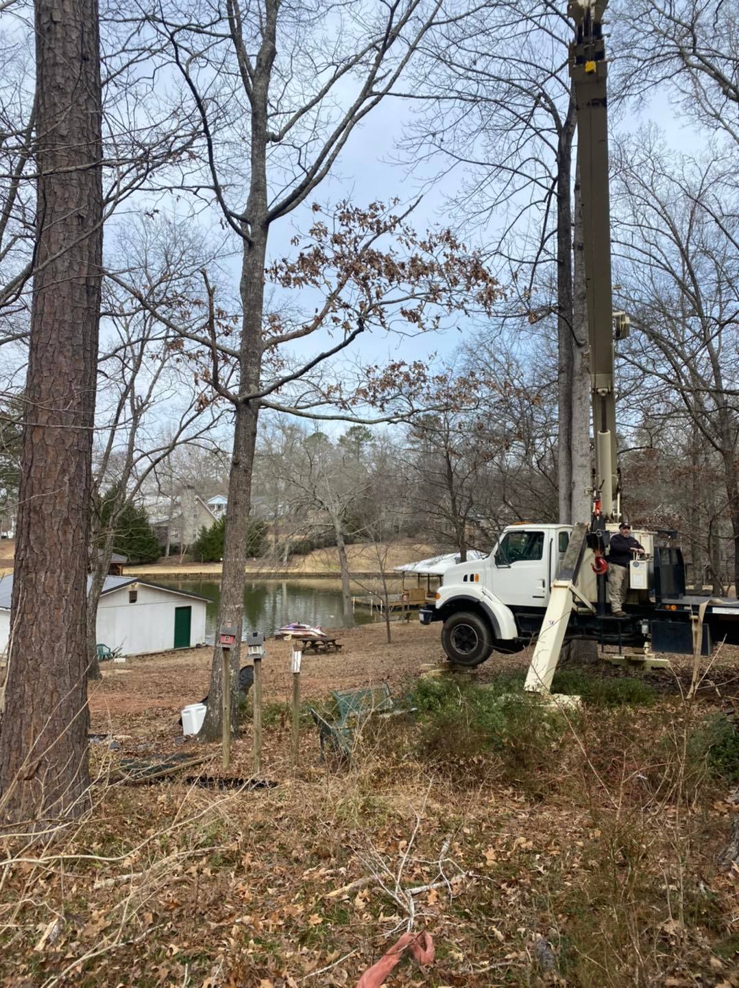 Odd job tree and crane services gallery 1920w