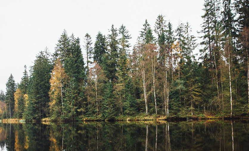 Markus spiske unsplash