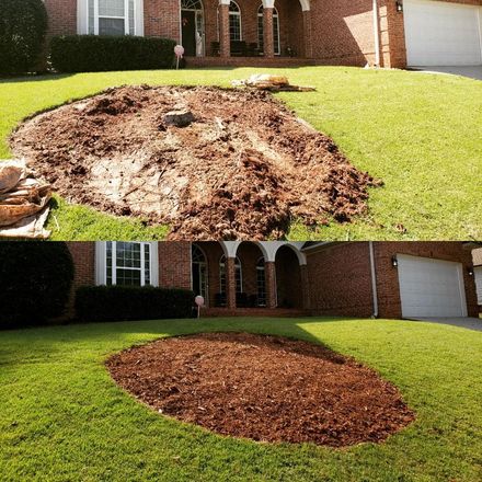 Stump+grinding+14 444w