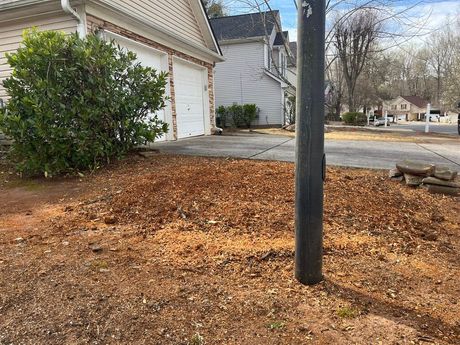 Stump+grinding+service 456w