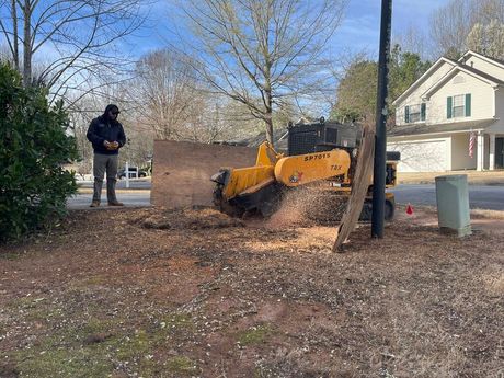 Stump+grinder+company 456w