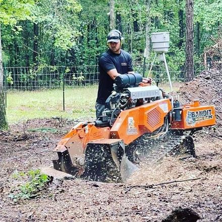 Stump+grinding+2 443w