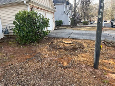 Tree+stump+grinder 456w