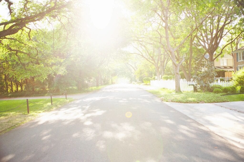Photo of Arborist Co