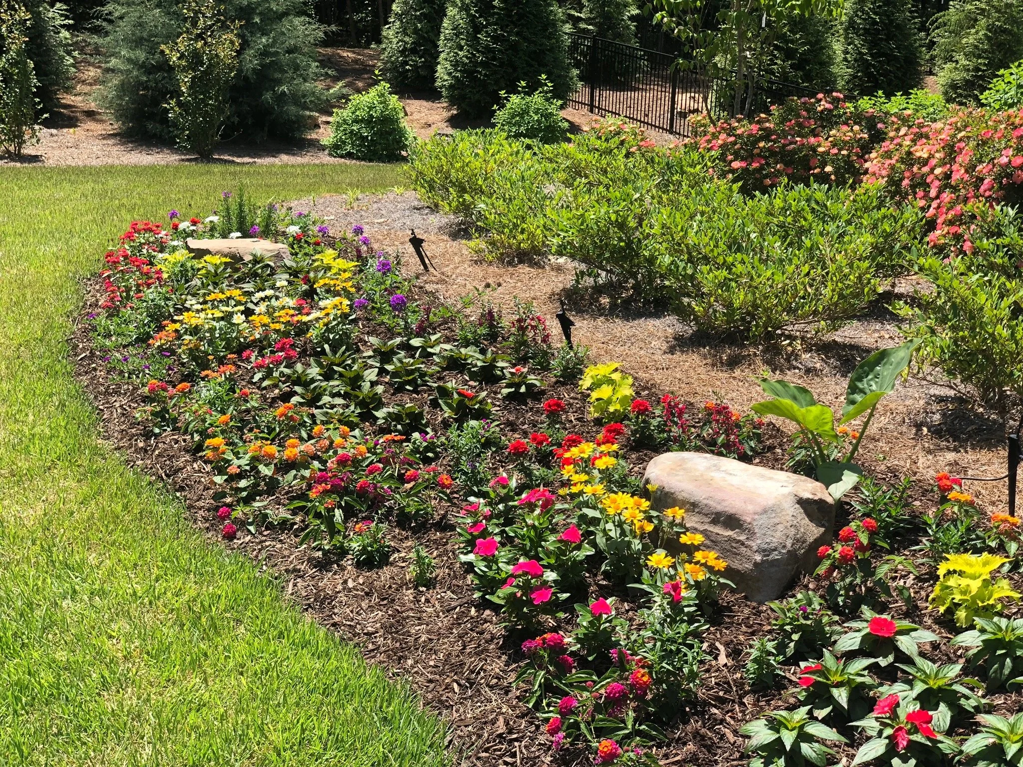 Southern Grounds Landscaping tree service work
