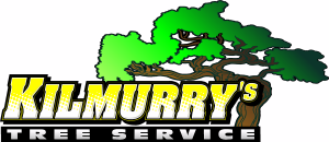 KILMURRY