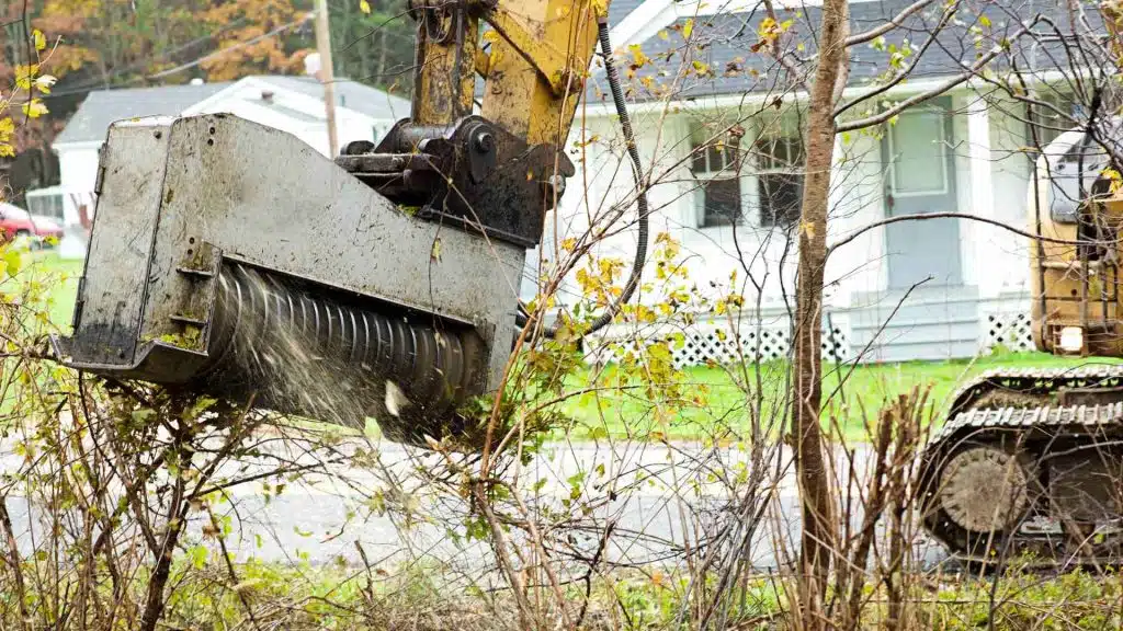Brush Removal Image 1024x576.jpg