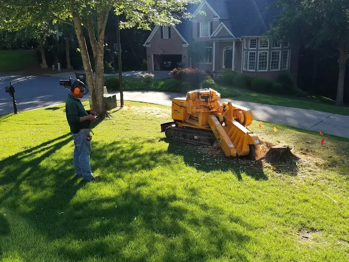 Stump Grinding Service in Athens GA