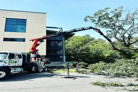 Tree pruning athens ga