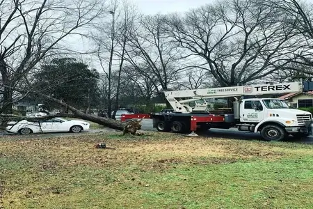Storm clean up service athens ga