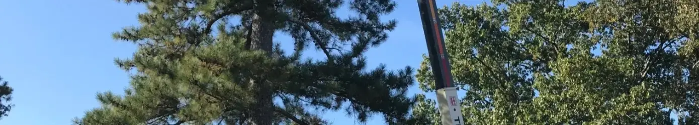 ACE Tree Service tree service work