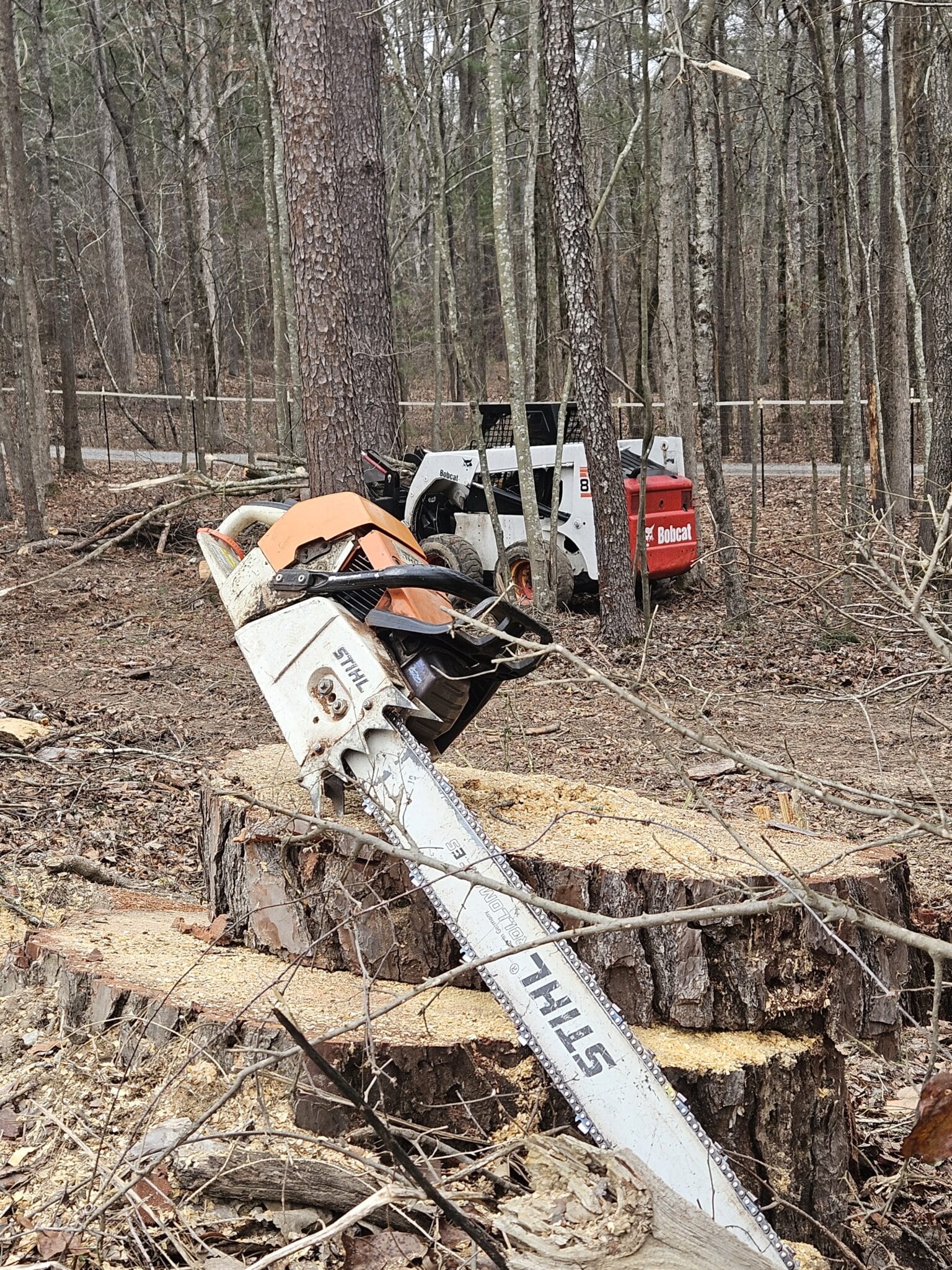 HS Tree Service tree service work