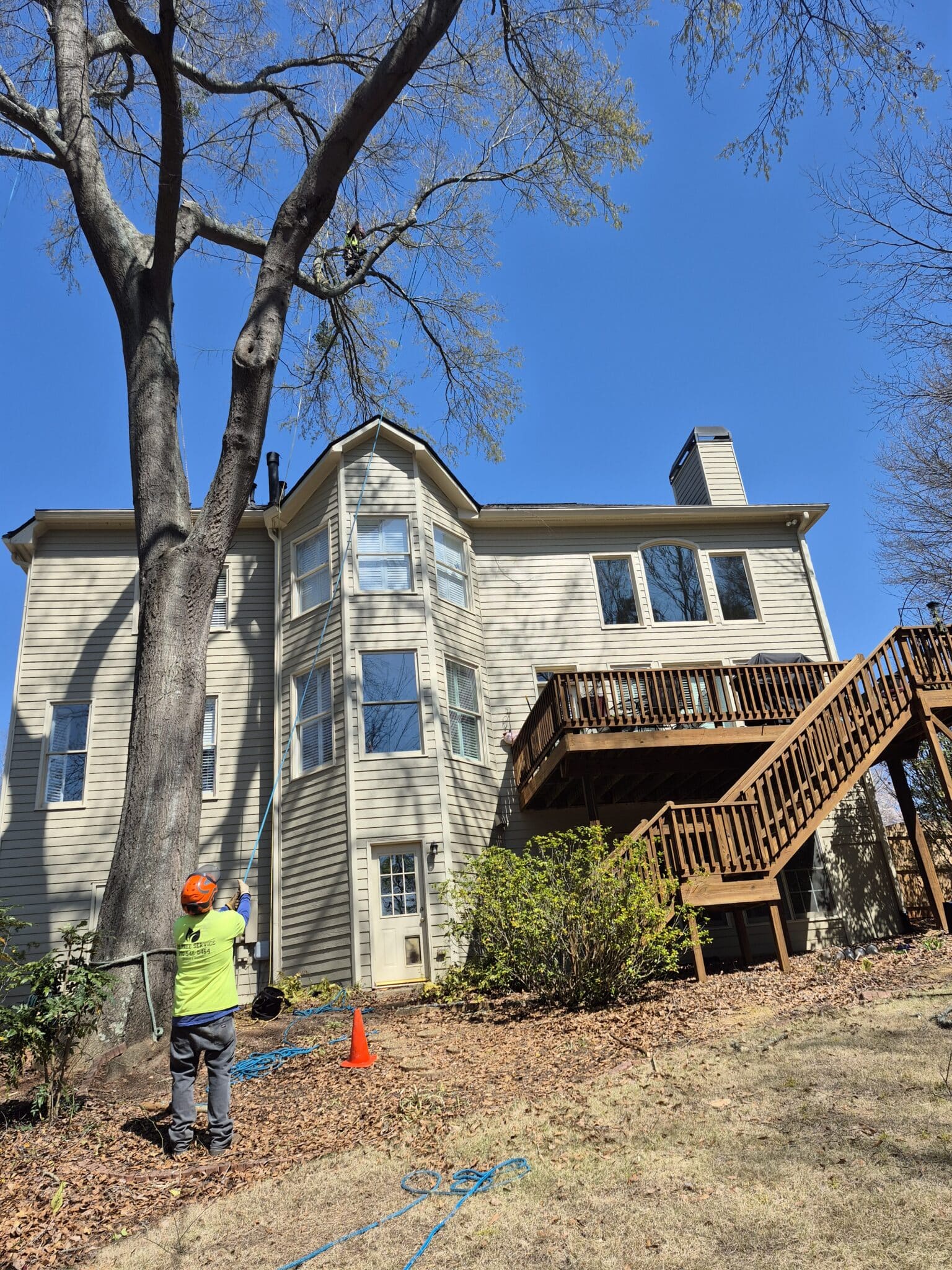 HS Tree Service tree service work
