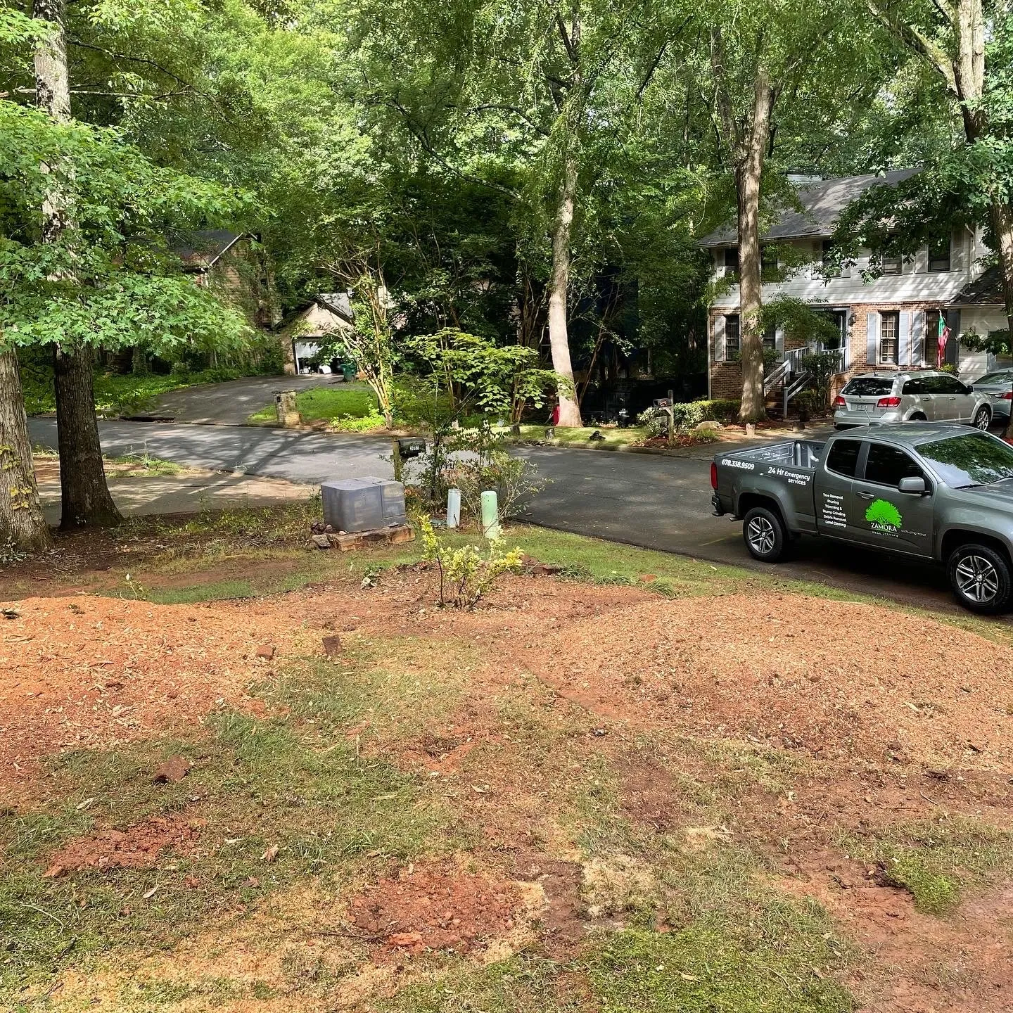 Photo of Zamora Tree Service