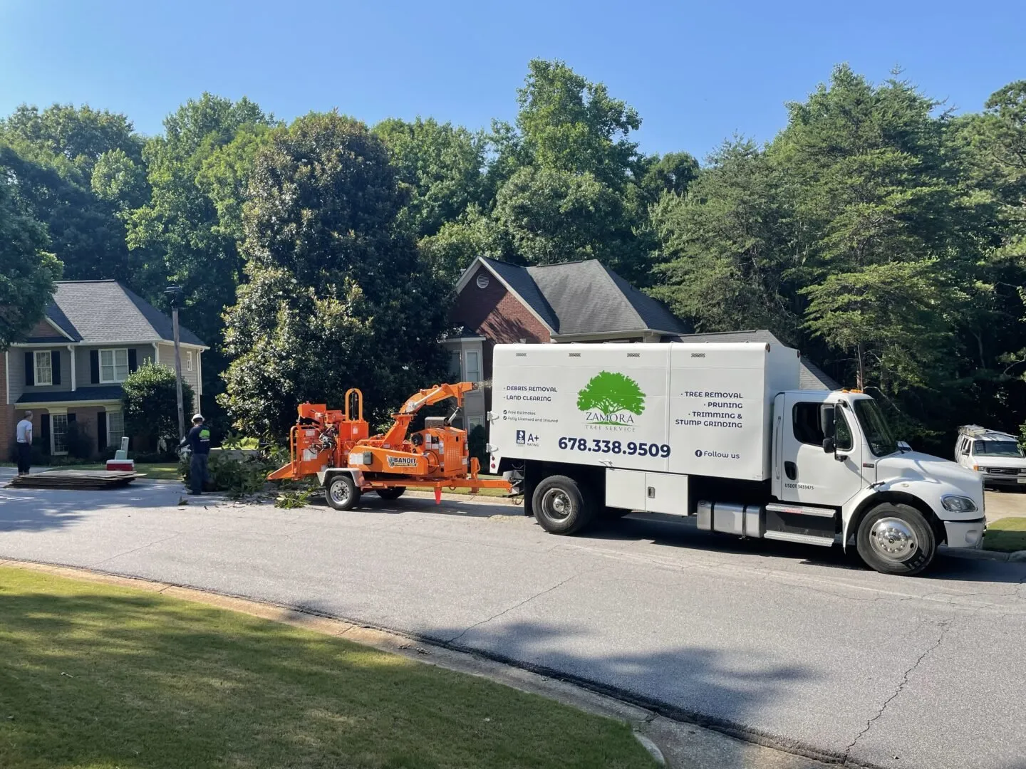 Zamora Tree Services Gallery