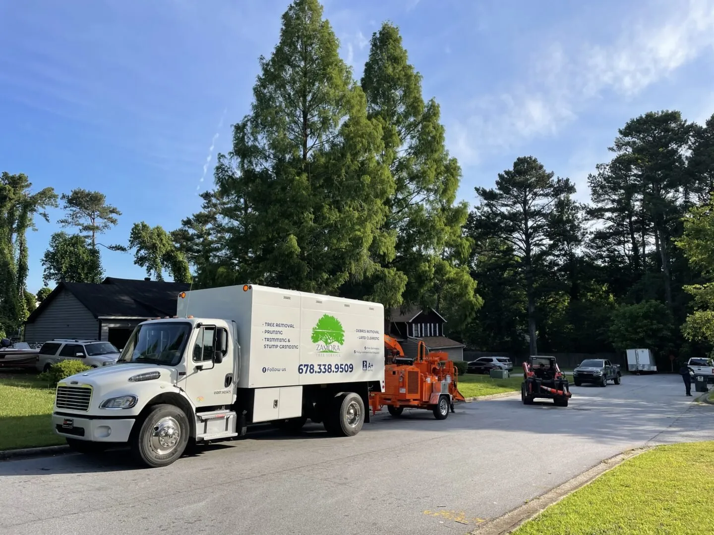 Zamora Tree Services Gallery