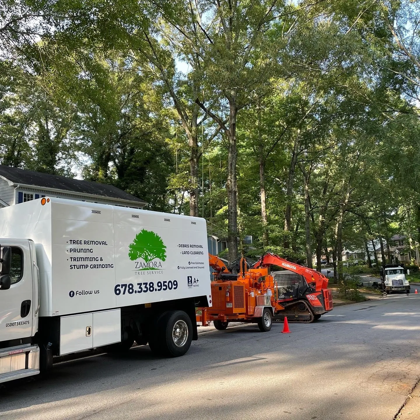 Zamora Tree Services Gallery