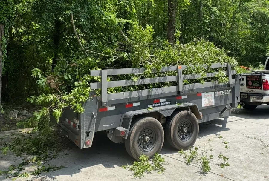 Pro Service Tree Service LLC tree service work