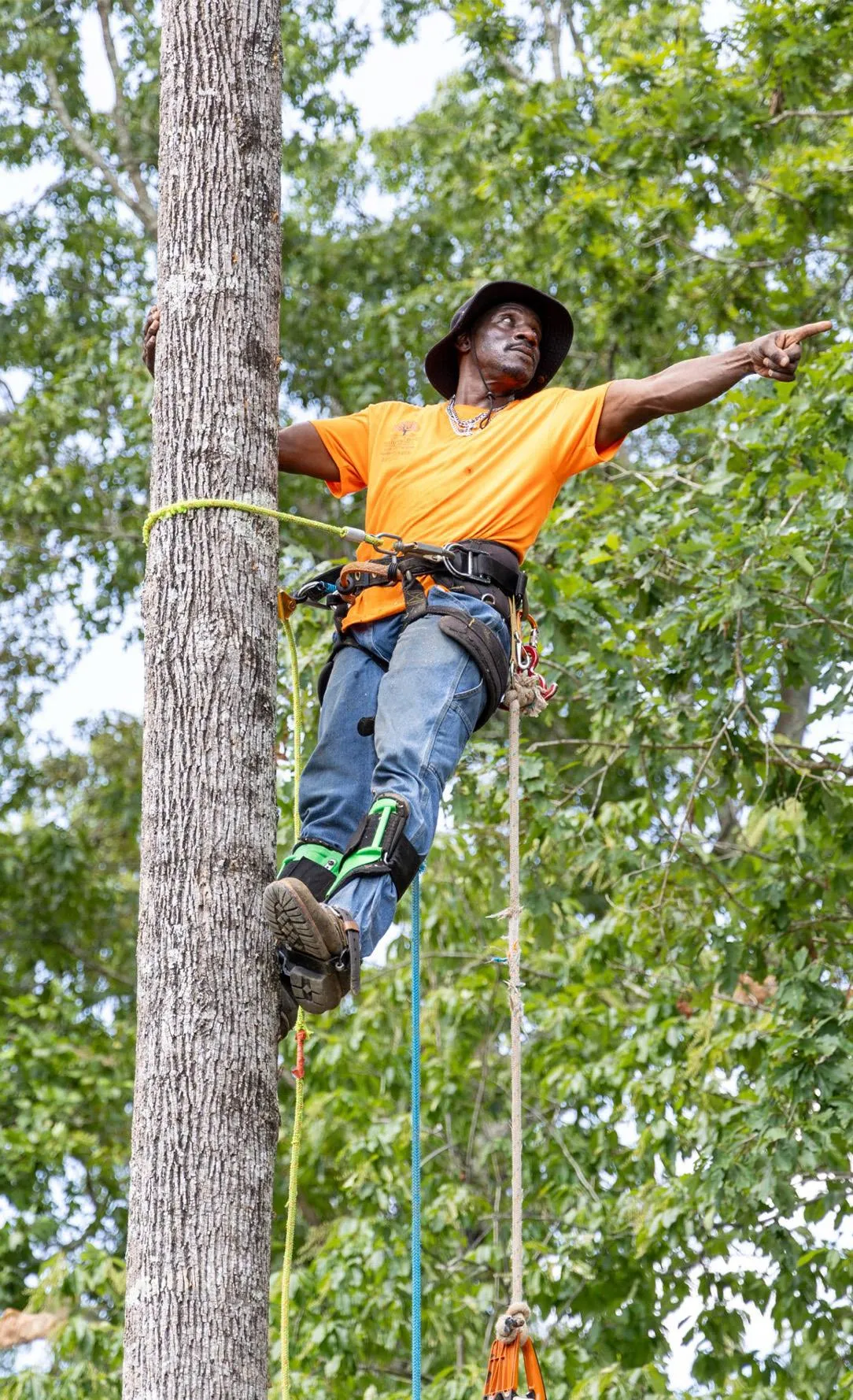 Pro Service Tree Service LLC tree service work