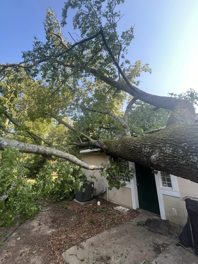 Arbor Equity LLC tree service work