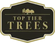 Top Tier Trees logo