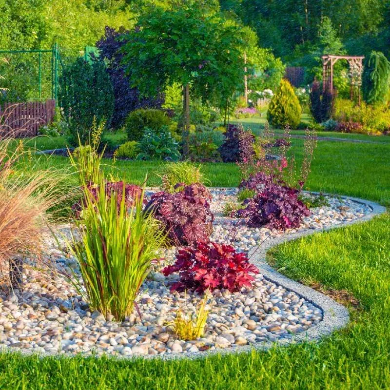 Gallery lopez tree services and 1920w