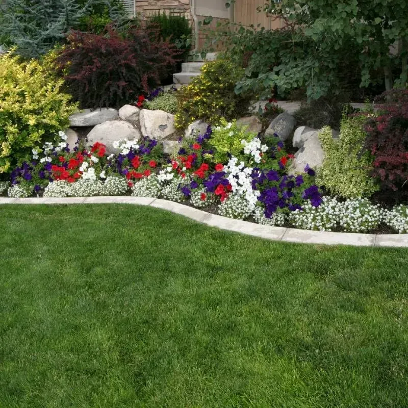 Gallery lopez tree services and 1920w