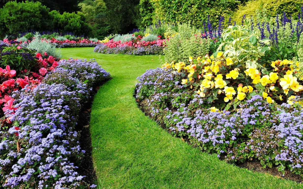 Home content lopez tree services and 1233w