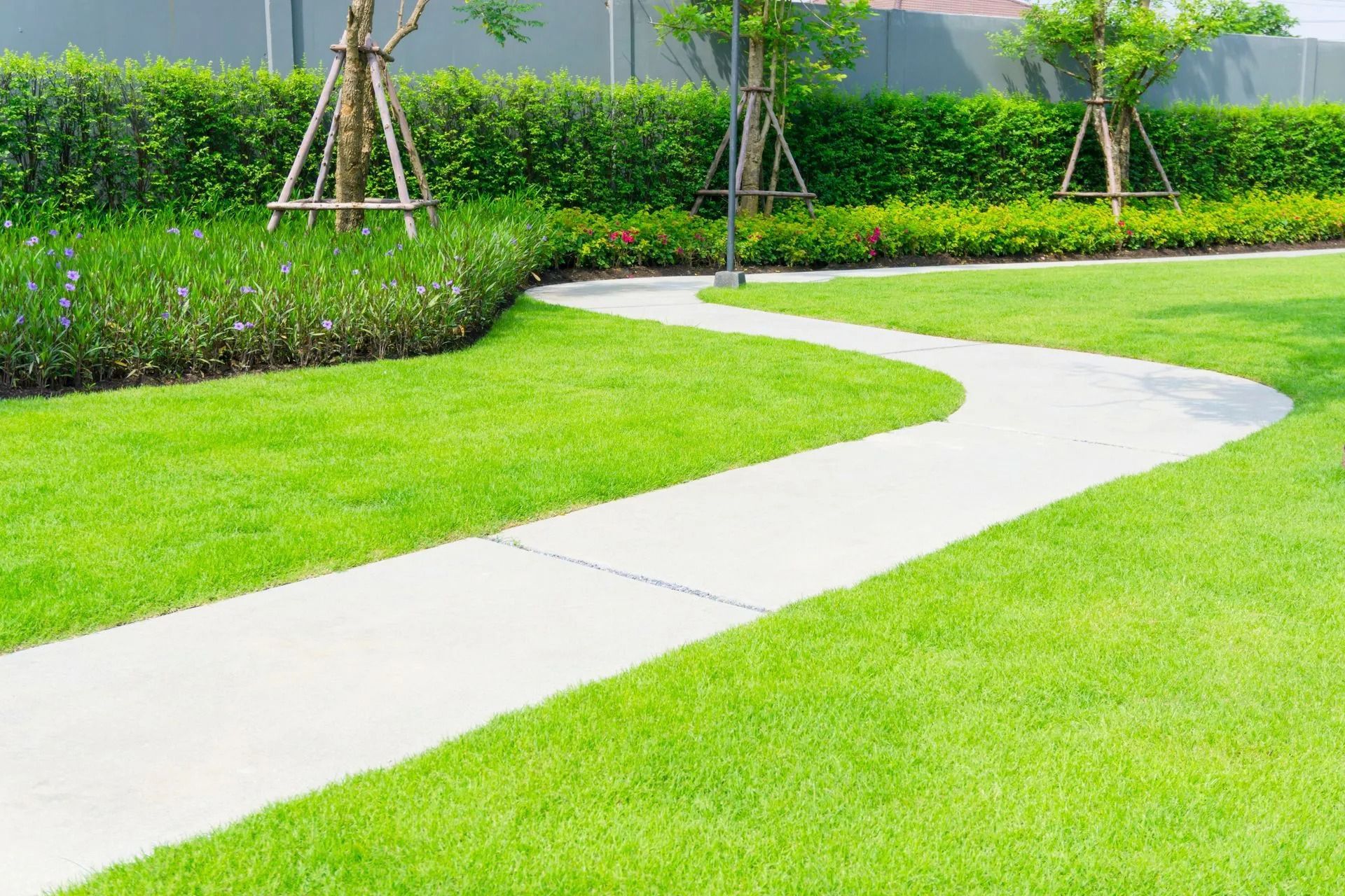 Photo of Lopez Tree Services and Landscaping