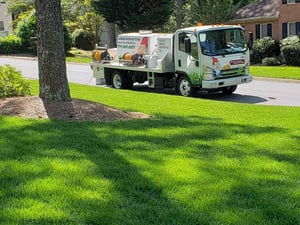 Fall lawn
