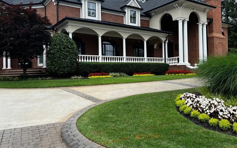 Front yard