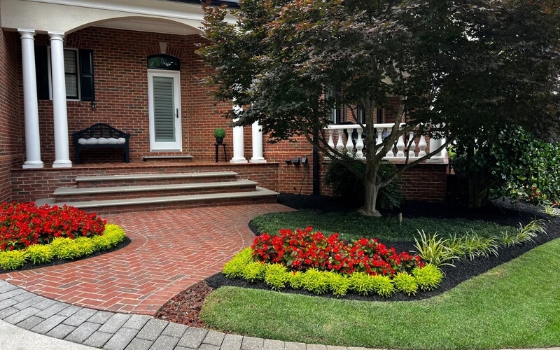 Flowers and house