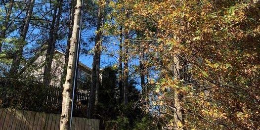Photo of Boutte Tree, Inc.