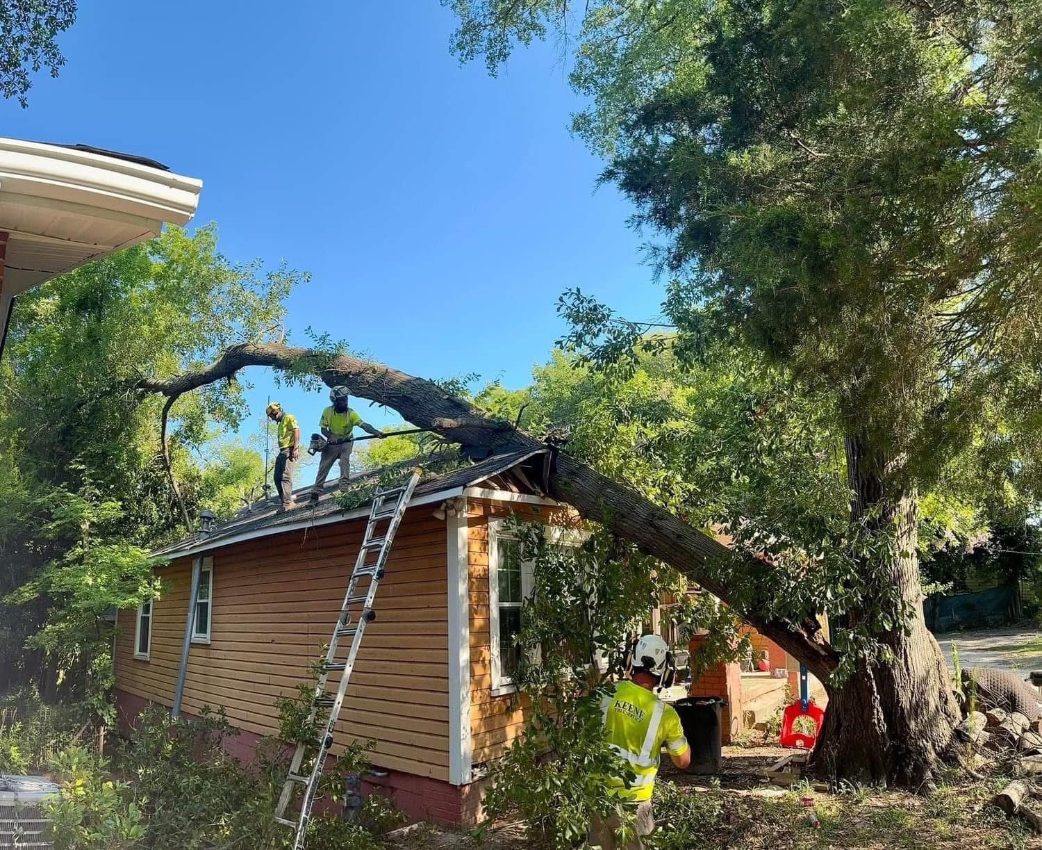 Photo of Keene Tree Service