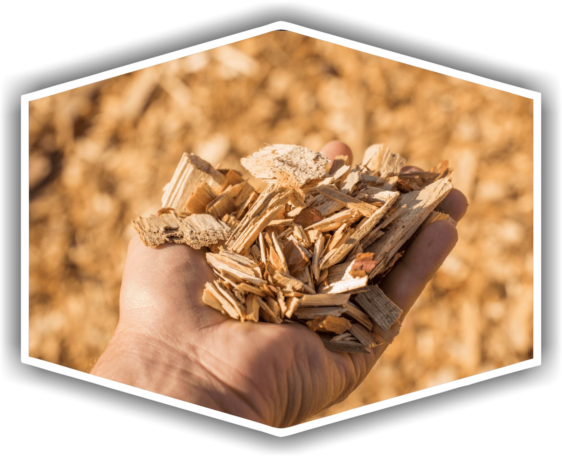 MULCHING+AND+FORESTRY+ALT 1920w