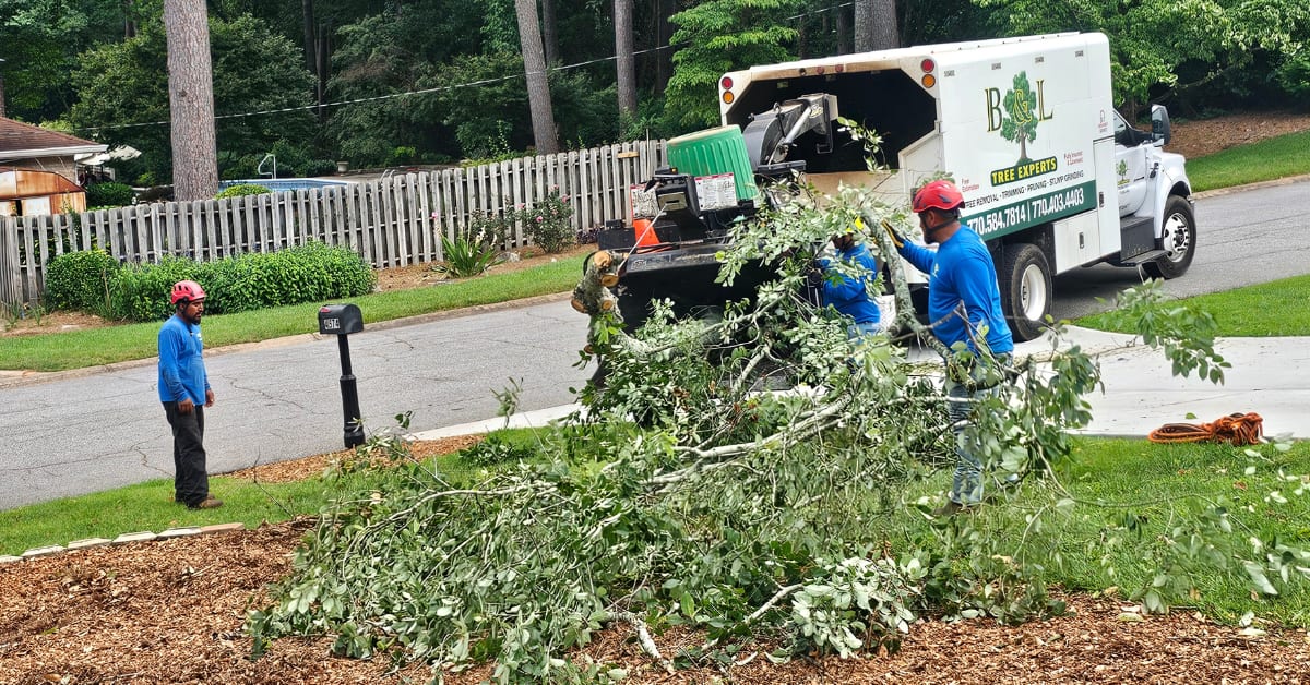 Photo of B & L TREE EXPERT LLC