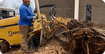 Stump grinding services