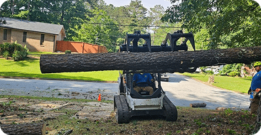 Land clearing services