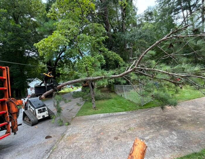 A&G TREE SERVICES tree service work