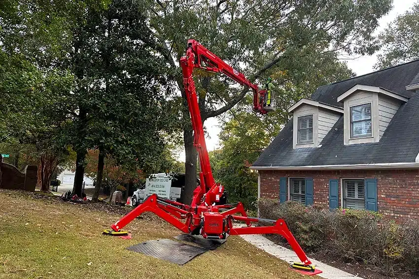 RTC Tree Trimming