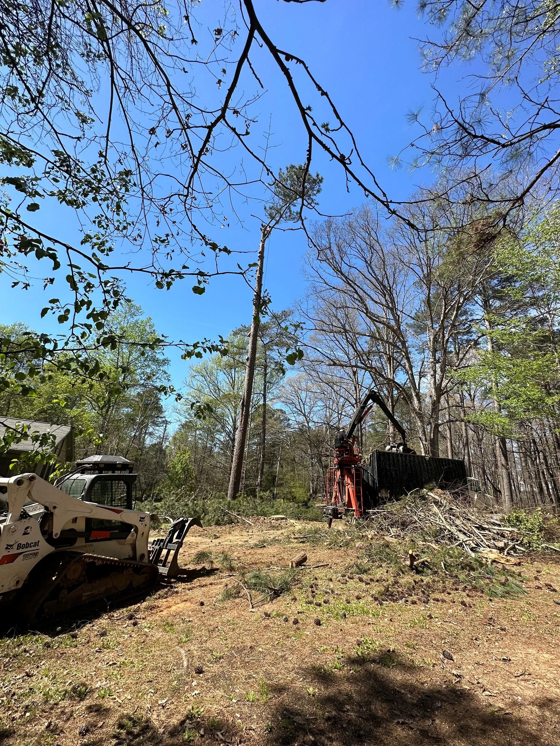 Photo of Arborall Tree Service