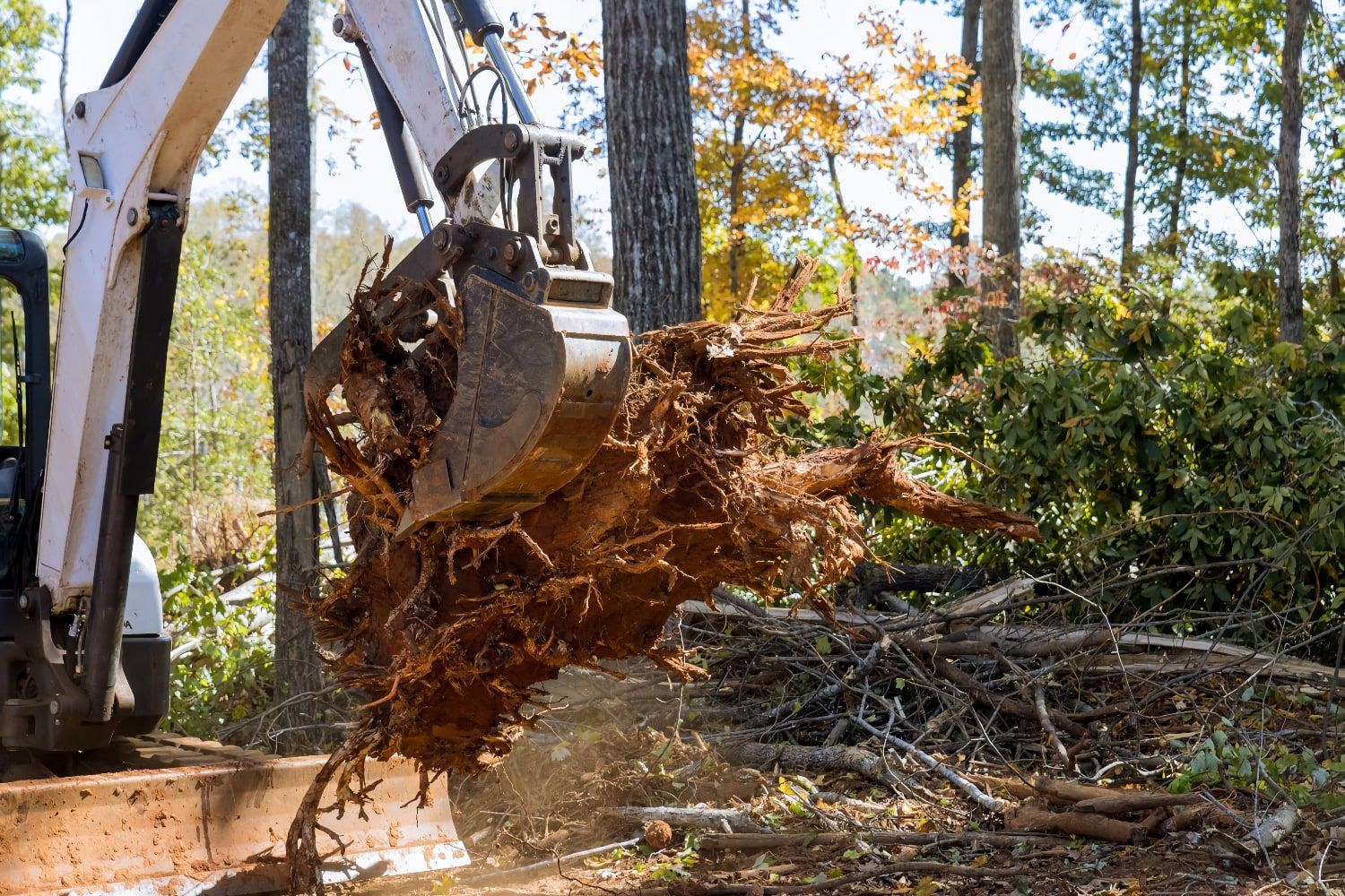 Photo of RedTop Land Services