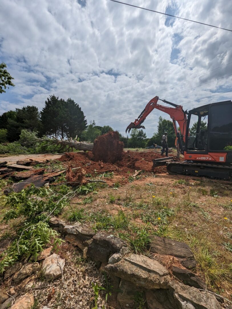 RLL Services LLC tree service work