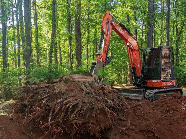 RLL Services LLC tree service work