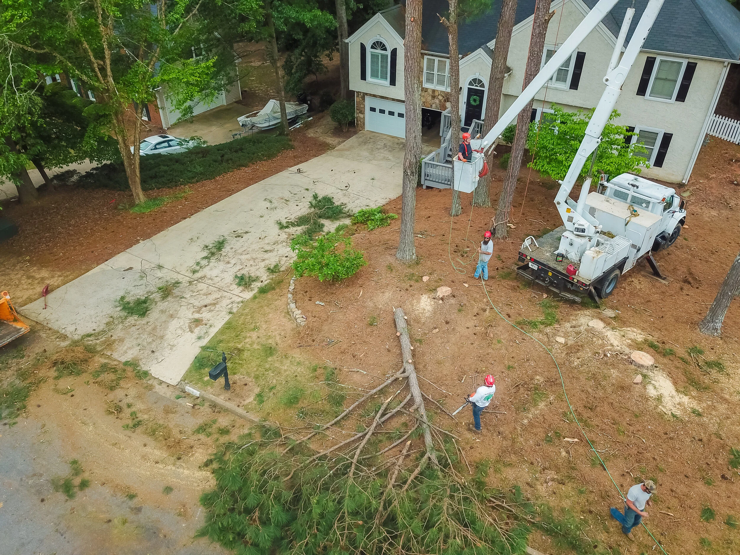 DJI 0019+2