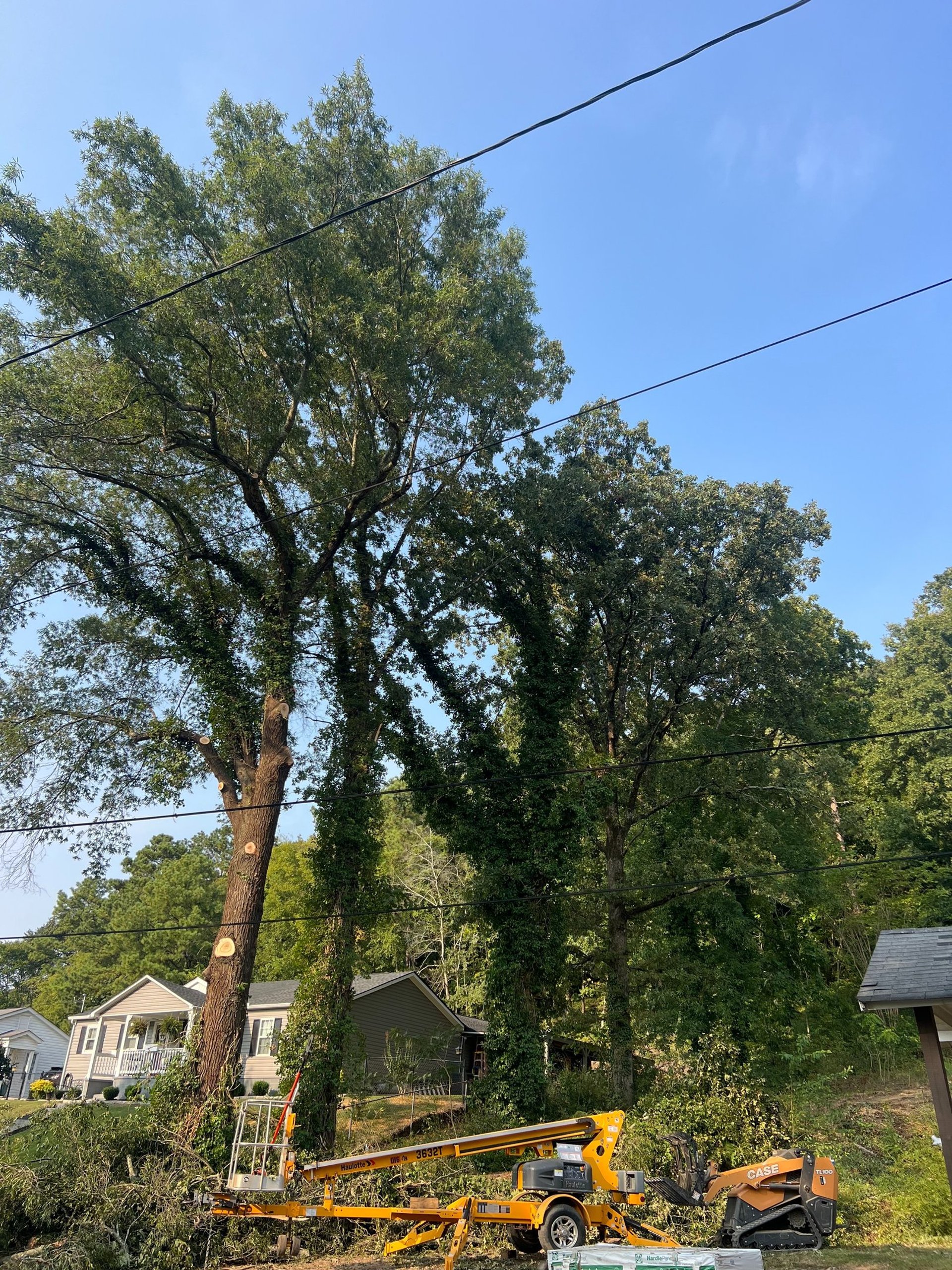 Photo of J.M.S tree removal, inc